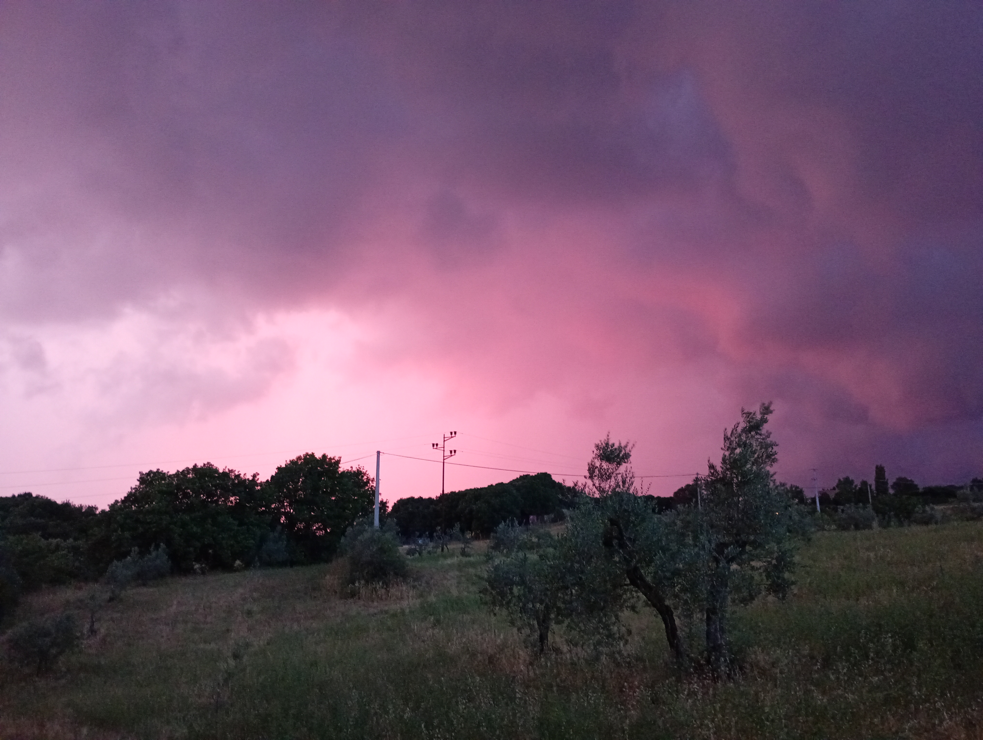 Marta's Family Tuscany Bolgheri ❤️