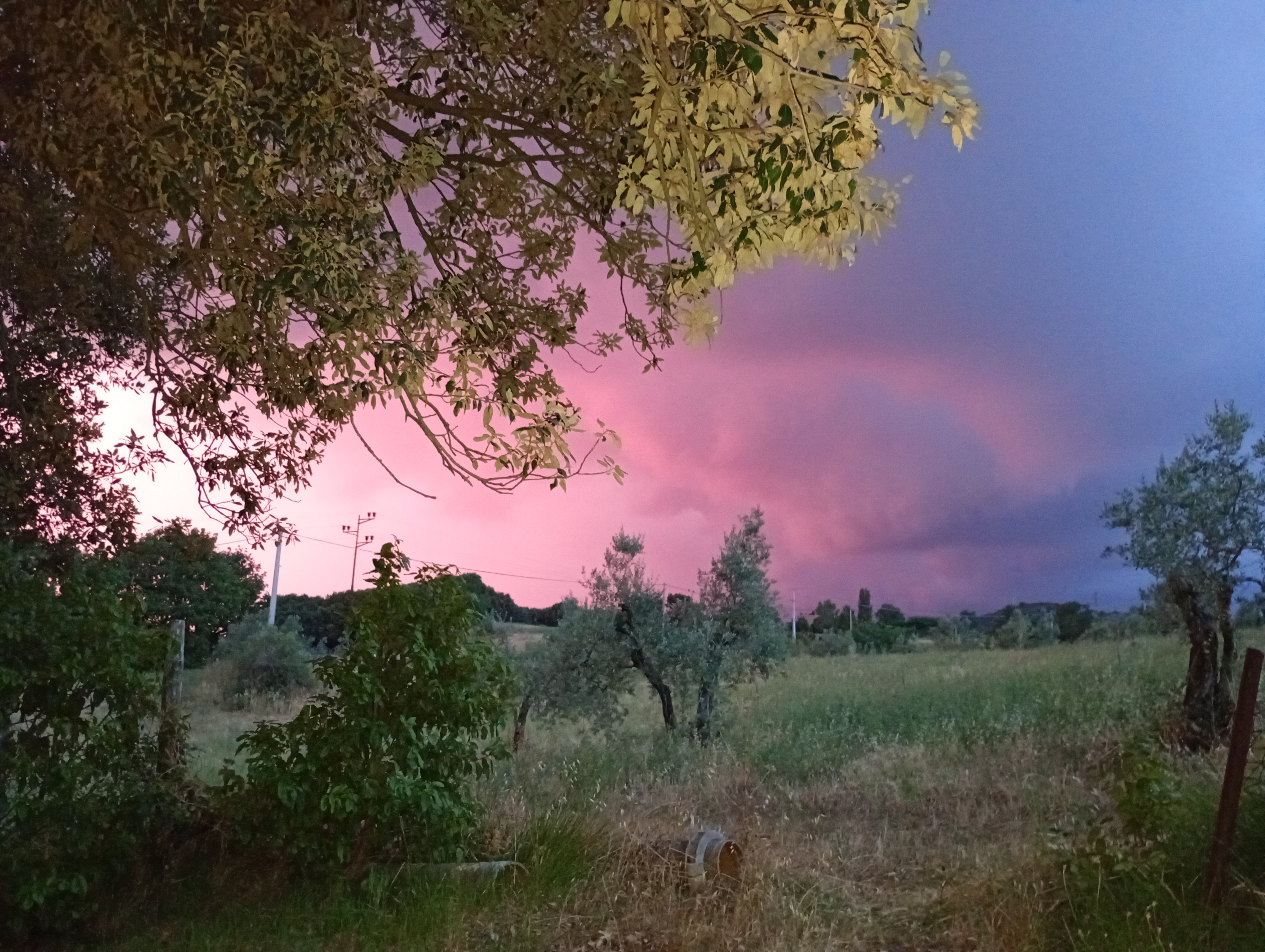 Marta's Family Tuscany Bolgheri ❤️